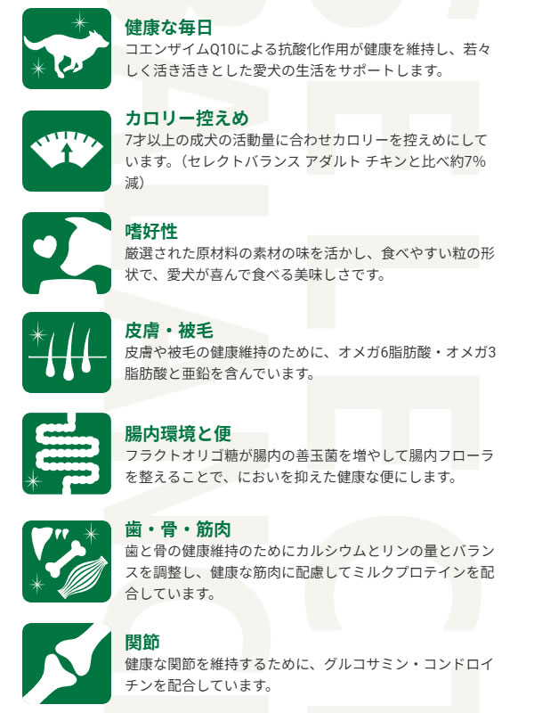 サンプル画像2