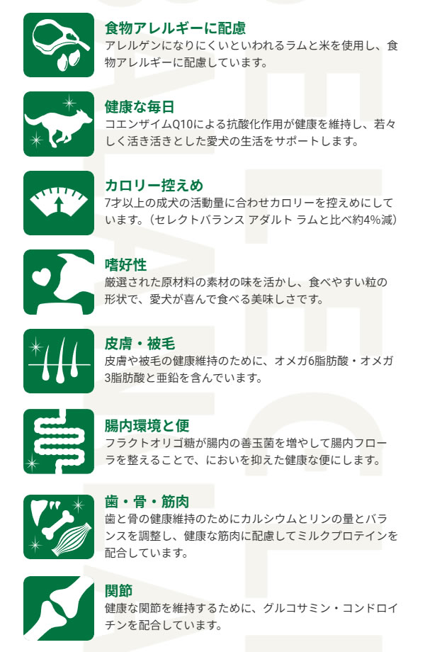 サンプル画像2