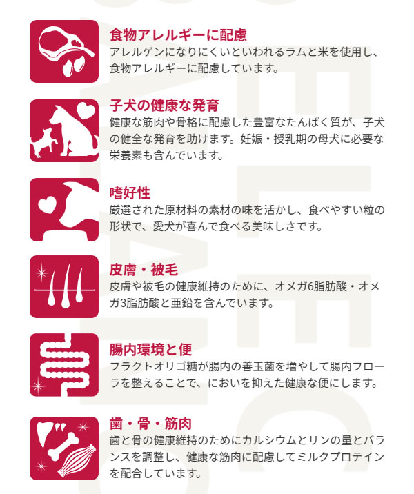 【最大10%OFFクーポン配布中】【おやつ&お...の紹介画像2