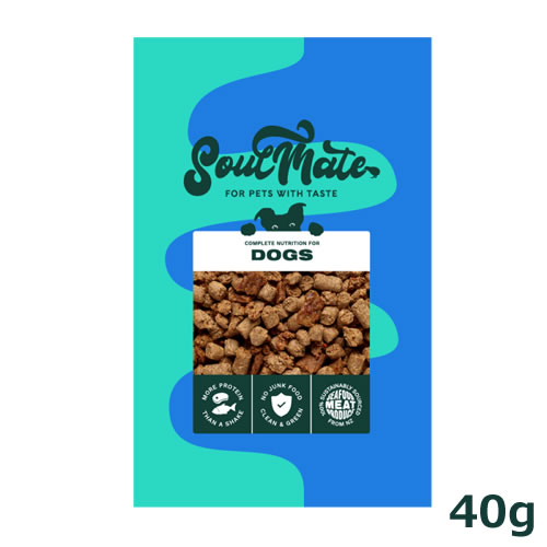 ソウルメイト ドッグ ベイクド＆エアドライフード　チキン 40g（小袋）（オールステージ SoulMate）