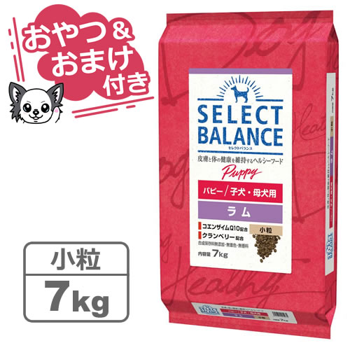 【最大10 OFFクーポン配布中】【おやつ＆おまけ付き♪】セレクトバランス パピー ラム 小粒 7kg 子犬 母犬用 【Select Balance セレクト バランス （子犬用）】