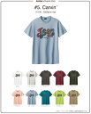 予約商品 リクエスト商品★2025モデル★GREEN CLOTHING(グリーンクロージング)Tシャツ CARVIN ステッカープレゼント 送料無料