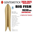 即納可能★24-25モデル★GENTEMSTICK(ゲンテンスティック) BIG FISH 163 OUTLINE CORE サイズ:163 【チューンナップ・...