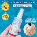 【今期分完売/来夏の販売をお待ちください】冷感 スプレー ミスト 肌に直接 暑さ対策 冷却 ボディローション ボディスプレー 氷嚢 デオドラント 冷感グッズ に...