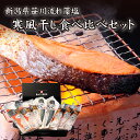 鮭山マス男商店 新潟県笹川流れ藻塩寒風干し食べ比べセット海鮮 産地直送品 グルメ 魚 鮭 紅鮭 銀鮭 鯖 寒風干し 国産 内祝い お中元 お彼岸
