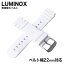 ˶ ߥΥå ٥ȥꥳ 22mm ӻ LUMINOX LUMINOX ӻץ٥    LM-FP220110Q ֥ ؤ٥ ؤȥå ؤХ    ץ쥼 ե Ѹ ι ­  ´