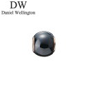 ダニエル ウェリントン アクセサリー Daniel Wellington チャーム チャーム ボール Charm Ball Black RG ユニセックス DW...