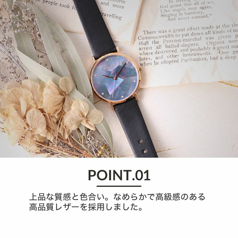 ALETTE BLANC アレットブラン 対応...の紹介画像3