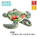 【期間限定10%OFF!】 INTEX インテックス 浮き輪 かめ 亀 フロート うきわ リアルシータートルライドオン 191×170cm 57555 浮輪 プール 海 海水浴 子供 親子 おもちゃ 水遊び 水あそび キッズ 子供用