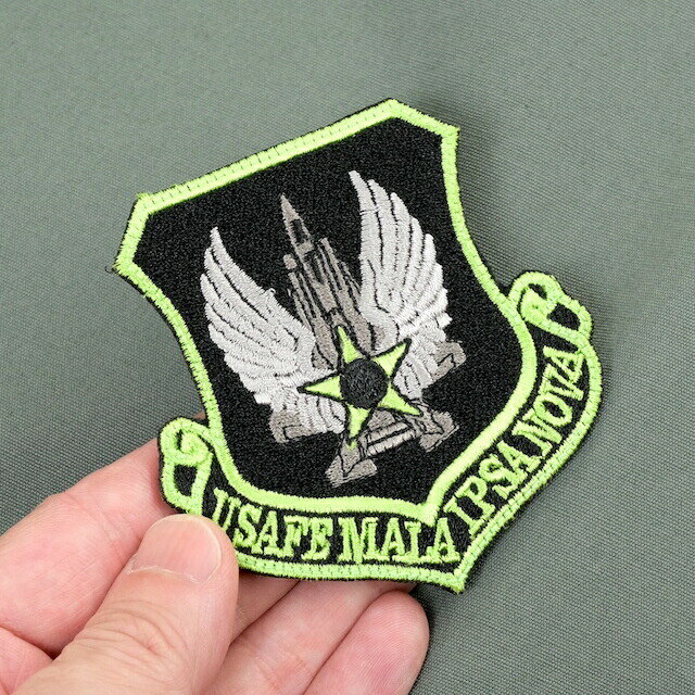 Military Patch（ミリタリーパッチ）USAFE MALA IPSA NAVA 495FS [フック付き] 3