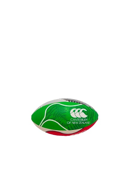 キャップ・ラガーズのCANTERBURY カンタベリー ミニ ラグビーボール ニュージーランド MINI BALL ラグビー おもちゃ AA04755｜アングル2