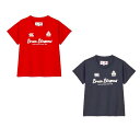 CANTERBURY カンタベリー ジャパン キッズ リプリゼントティ Tシャツ ラグビー 日本代表 半袖 ジュニア RAJ34774