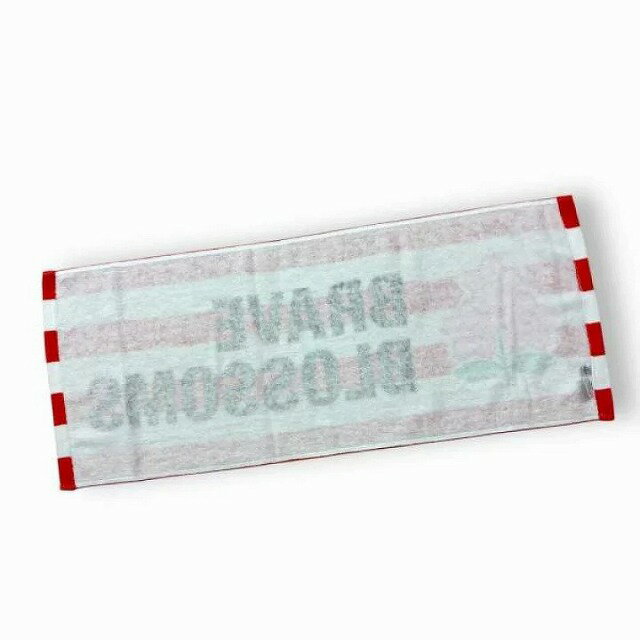 �饰�ӡ� ������ɽ �ե����������� (ξ�̥ѥ�������) ����ѥ� ���ݡ��������å� RJ87692