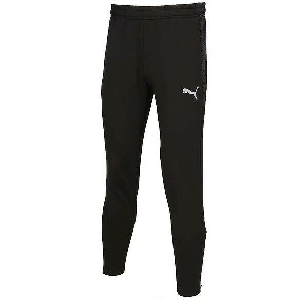 PUMA プーマ TEAMCUP TR パンツ ユニセックス サッカー ラグビー スポーツ ウィンドブレーカー 660106