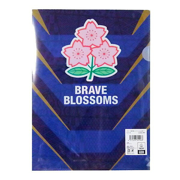 ���ꥢ�ե�����2�祻�å� �饰�ӡ�������ɽ RJ34146