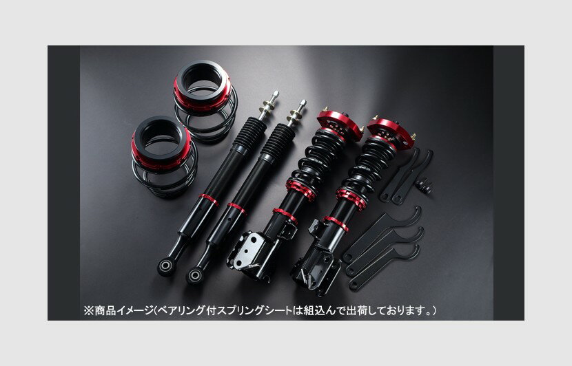 車高調キット タントエグゼ L465S ダイハツ シュピーゲル プロスペックステージ2 STPND25B-6 Spiegel