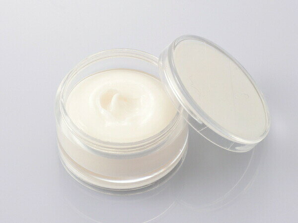 デイトナ グリスさん シリコングリス 67631 DAYTONA