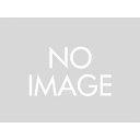 デイトナ マフラーステー DS/DSC400用 75009 DAYTONA 送料無料