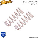ダウンサス クエスト V40 ニッサン H8/02〜H10/12 VG30E 2WD 3.0L ダウンフォースHG リア ZOOM ZNI023001RHG