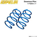 ダウンサス RC300h AVC10 レクサス エスペリア ダウンサスプラス リア左右セット スプリング ESPELIR ESX-7177R