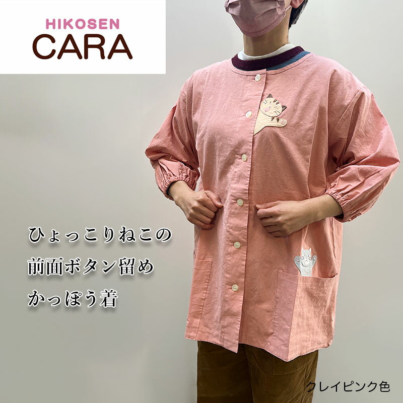 HIKOSEN CARA Ҥḁ̈ͤܥαᤫäݤ AP12-020  100 ˣ äݤ ץ å ...