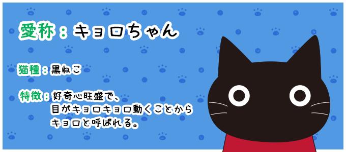 黒ねこキョロちゃんのアームカバー（ロング）　 猫　ねこ　ねこ柄　猫柄　ネコ　ねこ顔　ねこグッズ　ねこ雑貨　HIKOSEN CARA　飛行船　飛行船企画　ひこうせんかーら　ひこうせん　ヒコウセン　SM2　YZ18-008（Y.Z12-006）