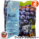 クール便【FENNEC FOODS】 ワイルド ブルーベリー 67605 冷凍 2kg大容量 大量 業務用 家庭用 製菓 材料 製パン 料理 スイーツ そのまま...