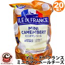 クール便 【ILE DE FRANCE】イル・ド・フランス ミニ カマンベール ボーナスパック チーズ 25g 500g 増量 20個入 72103白カビ チー...