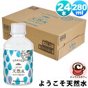 ようこそ天然水 280ml x 24本 75890ミネラルウォーター 富山 黒部 天然水 北アルプス 軟水 硬度27 日本製 国産 天然 ペットボトル ケース 箱買い まとめ買い 大容量 大量 業務用 家庭用 備蓄 被災時 災害時 断水 水分補給 コストコ 食品 キャラメルカフェ 通販 直送(4)