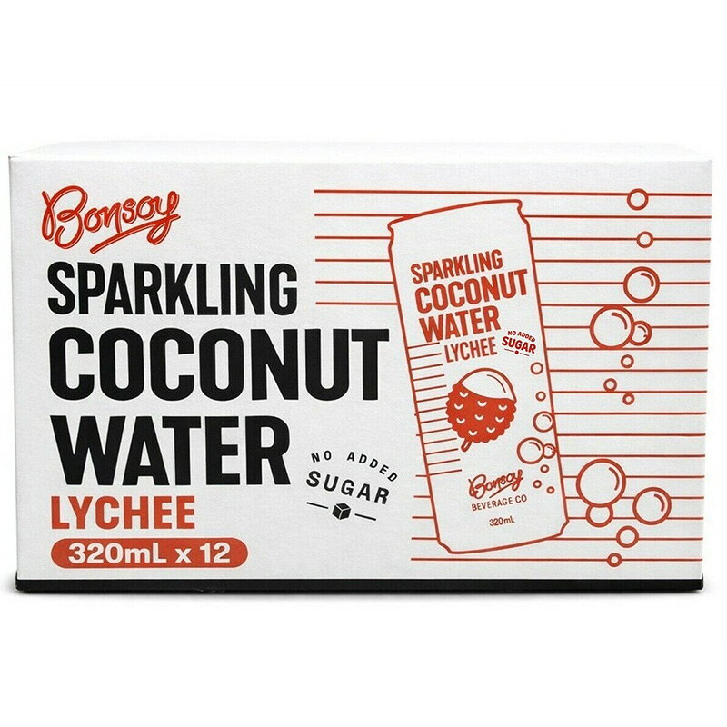 キャラメルカフェのスパークリングココナッツウォーター ライチ味 320ml x 12缶 BONSOY 76011ココナッツ ジュース 炭酸 飲料 砂糖不使用 320ml 缶 12本 大容量 大量 業務用 家庭用 パーティー 誕生日 女性 子ども ギフト 贈り物 おいしい コストコ 食品 キャラメルカフェ 通販 直送｜アングル3