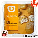 クール便【VAN DIERMEN】ミニ クリーム パフ 1.6kg 55342 シュークリームプチシュー シューアイス 冷凍 アイス かわいい お菓子 おやつ スイーツ 大容量 業務用 1617g 100個 シェア ギフト コストコ キャラメルカフェ 通販 女性 子供 誕生日 パーティー