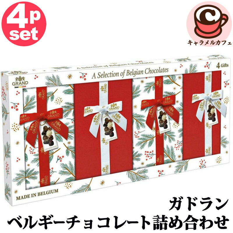 2025【Gudrun】ガドラン ベルギーチョコレート詰め合わせ 4個セット 1936628ベルギー チョコ 個別包装 贈り物 ギフトボックス クリスマス 誕生日 プレゼント ギフト 贈り物 パーティー おいしい かわいい おしゃれ シェア コストコ 食品 キャラメルカフェ 通販 直送