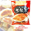 【 餃子計画 】 冷凍 生餃子 国内製造 50個入 晩ごはん おつまみ 備蓄 非常用 ギフト クール冷凍便おいしいぎょうざ冷凍食品