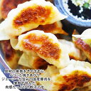 【 餃子計画 】 冷凍 生餃子 国内製造 50個入晩ごはん おつまみ 備蓄 非常用 ギフトクール冷凍便おいしいぎょうざ冷凍食品 2