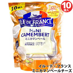 クール便 【 ILE DE FRANCE 】 イル・ド・フランス ミニ カマンベール チーズ 25g 250g 10個入り 575069コストコ 白カビチーズ 大容量 ナチュラルチーズ フランス 生乳 クリーミー ミニパック カマンベール