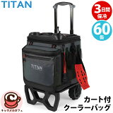 2024ǯǿ  TITANۥ ꡼դ 顼Хå 60̼Ǽ 3  2622035ȥɥ  ԥ˥å  顼ܥå  ե 顼 ʪ   ȥ 륫ե  COSTCO