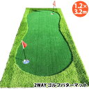 当店P5倍★【 SLDS 】 セルデス 2way ゴルフパターマット 1.2m x 3.2m 32692衝撃吸収マット 高密度 人工芝 レッスン 練習 ラフ グリーン 二重構造 丈夫 防音 高級性 リアル 専用フラッグ カップ ホールキャップ コストコ キャラメルカフェ 通販 直送