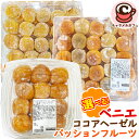 クール便 【KIRKLAND】ココアヘーゼル ナッツ パッションフルーツ ベニエ 93739 93312一口サイズ フランス シュガー ドーナツ カークランド ...