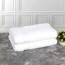 【 Grandeur 】 グランデュール ミニバスタオル 2枚入 50×90cm 672076ミニタオル 厚手 大判 高級 白 ホワイト エステ ホテル 美容院...