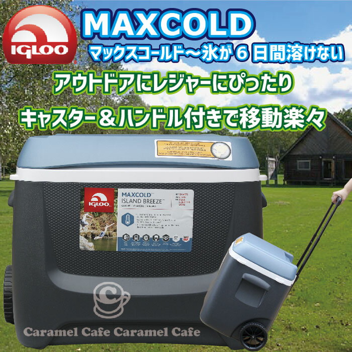 【楽天市場】あす楽送料無料【IGLOO MAXCOLD イグルー/イグロー】マックスコールド クーラーボックス 62QT（58L）ブルーグレー