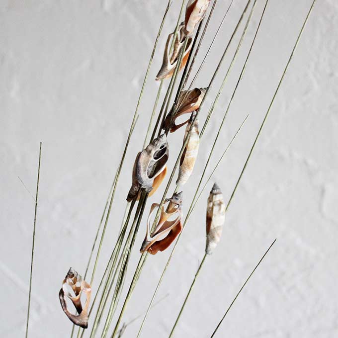 �� �١����� �����ȥץ��� ����ƥꥢ�ե� �ǥ����ץ쥤 ���� ¤�� �Х� �������� ����ƥꥢ ���֥���