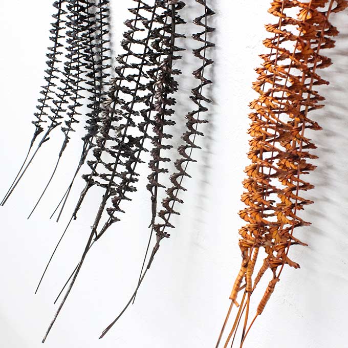 �����ȥץ��� ����ƥꥢ�ե� �֥�å� �������֥饦�� �֥饦�� �ǥ����ץ쥤 ���� ¤�� �Х� �������� ����ƥꥢ ���֥���