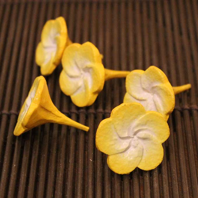 �ץ��ꥢ �ե�󥸥ѥˡ� �ڤ�¤�� �������� 5������ �Х��� ���� ����ƥꥢ