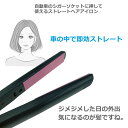 車載用 ヘアーアイロン コテ コンパクト ストレート ストレートアイロン ヘアアイロン DC12V ミニ 車中泊 220℃ シガーソケット 車内でスタイリング JPN-DC522 送料無料 2