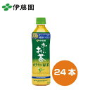 伊藤園 PET カテキン緑茶 500ml(4)