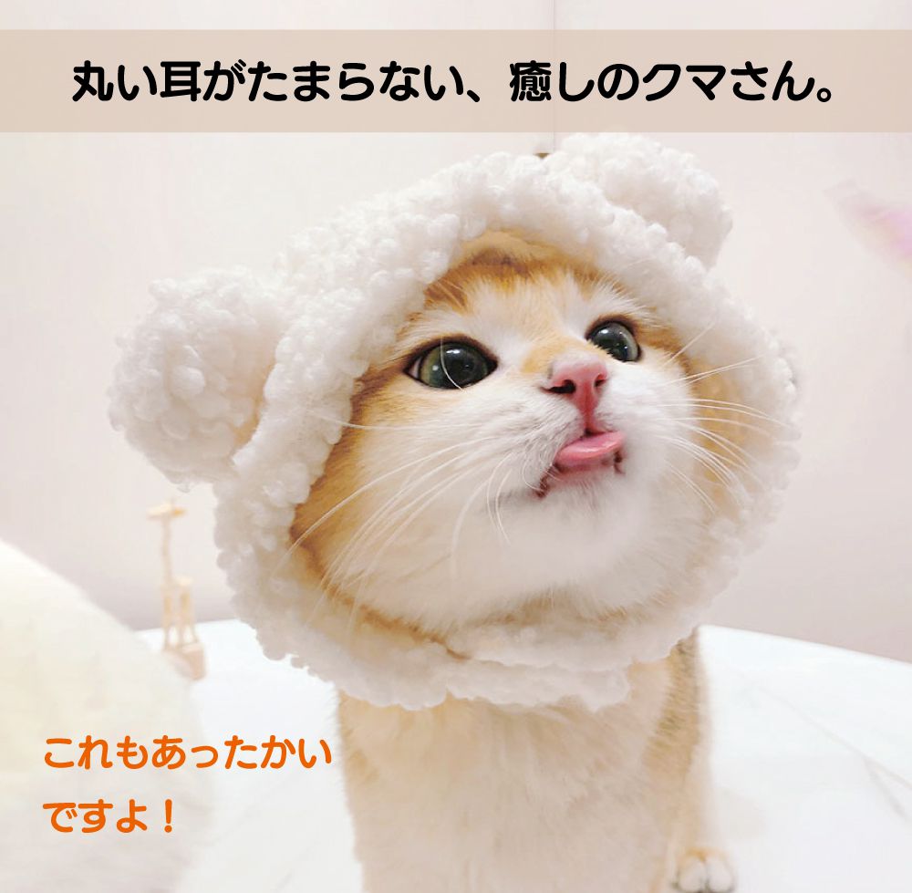 �ڥå� ���ʪ ˹�� �� ǭ ���� �ͥ� ���� �ͤ� �����ץ� ���� �������塼�� ���襤�� ���磻�� �İ��� �ڥåȥ����ץ� ���� ��3���顼 PTC-B �ڥå��� �ޥ��å��ơ��� �ѿȥ��å� ���� ���դ� �̿� ������ �̿��Ǥ� ���� �� ��æ��ñ Ĵ����ǽ