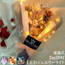 ハロウィン 飾り ライト LED イルミネーション 電飾 ジュエリーライト 2m 20灯 電池式 全3色 FW-LED2M led クリスマスツリー 飾り付け インテリア メール便(ネコポス)送料無料