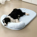 冷感 犬用 ペットベッド 夏 ひんやりマット 枕付きクッション 洗える 中大型犬 猫用 ハウス 通気性優れ 可愛い