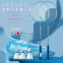 バドミントン ラケット バドミントンラケット バドミントンラケット 初心者 中級 バドミントンセット 練習用 2本 初心者向け 安心 軽い 使いやすい スポーツ...
