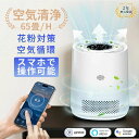 花粉対策 花粉症対策 空気循環 PM2.5 3段階切替 スマホ遠隔操作 小型 脱臭機 除菌 消臭 静音 卓上 省エネ 寝室